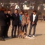 사진有) <b>공원</b>에서 인피니트보앗으으음!!