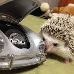 우리 오아시스 형제 자랑!