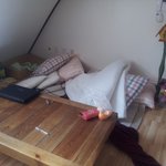 ♥개판♥  우리집의 미친존재감 또 한번 소개해요>_<~~!!!