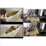 19禁)★☆★☆★☆나 엉덩이라인어떰??★☆★☆★☆