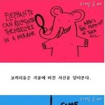 <b>세상</b>의 신기한 <b>이야기</b>들