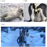 <b>추위</b>에가장 강한동물3위래 ㅋㅋ