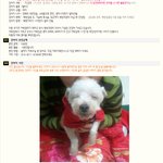 ▶제발 도와주세요 ㅠ 생명을 가지고 장난치는 사람 벌주고 싶어요...