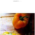 <b>피망</b>을 반으로 잘랐더니