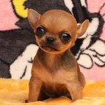 (동성) 12 아메리카노와 소주 12