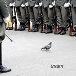 나는 방금 <b>영등포</b> 갔다 왔거든 ㅋㅋㅋ