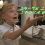 ★★대학생 언니 오빠들한테 궁금한거 잇어유有you...ㅠㅠ★★ 몇분이라도...