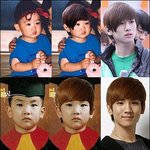 샤이니 과사 찾아보고 있었는데