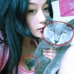 ★★★(스압)전나웃긴짤방모음2★★★