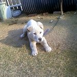 ★(사진有有有)다들쓰는 개ㅋ판★