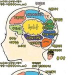 하이킥 짧은다리 <b>역습</b> 뇌구조