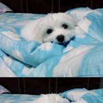나 눈팅만하고있는데..