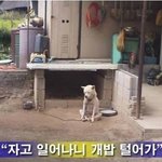 10<b>일치</b> 웃음 다웃어요 [개웃긴사진모음]