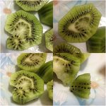 사진有)<b>키위</b>땜에소름돋아미치겠어요