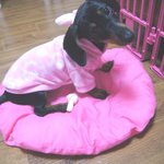 ★☆★대학생, 교수들에겐 봉인가요?★☆★