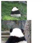 오늘부터 <b>화요일</b>까지 30판은 나의 일기장이되는건강...........