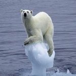 ★★★★무한도전 나비효과특집을 기억하시나요?★★★★