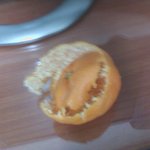 ★★★안보면 진짜 후회한다 ★★★