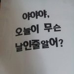 (사진有)이런 친구들본적 있음????