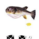 어머님 <b>설공</b>감 별 뙇