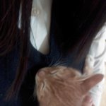 <b>다미</b>의 생활일기ㅎ