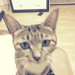 (수정)○●○●한지붕 <b>두</b>가족○●○●스압有