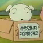 19)흰둥이의 불편한진실!@
