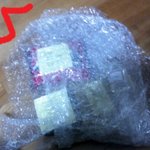 ♥악어의 잊지못할 생일 선물♥(꼭읽어주세요)(수정)