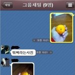 ★★★ 친구와 카카오톡 귤맞짱 ㅋㅋ★★★