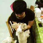 (개판.사진有)2탄.두 얼굴을 가진 녀석