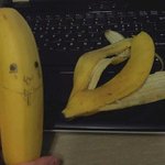 ★★★바나나공주<b>납치</b>사건(사진有