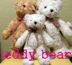 ★★★★★베어패밀리팬덤이름★★★★★(+사막곰)