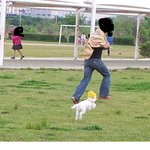 지들이 사람인줄아는 개님들과의 동거이야기