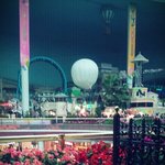 겨울에 가볼만한 곳으로 좋은 롯데월드 플라워 페스티벌!! 