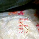 ★★★설맞이 언니<b>야랑</b> 만두만들기 ★★★★(+스압주의)