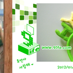 김효연 <b>조공</b> 인증