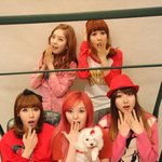 달샤벳<b>욕</b>하지마ㄴ ㅣ미 <b>개</b>간년들아
