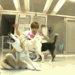 <b>우와</b>우