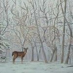 (궁금) <b>아이큐</b> 테스트 사진 ★★