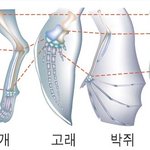 임근호씨같은 분들을위한  반박서(1)