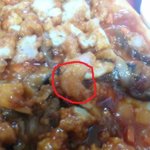 (사진 有)중국집에서 깐<b>쇼새우</b>를 시켰는데 빵이왔네요 ㅡㅡ