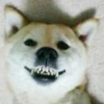 ◆◆방학끝나고 개학식날 선생<b>면상</b>◆◆
