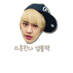 ※※모든팬덤여러분과 사랑하는 에이플여신님들※※