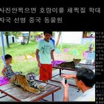★☆★☆ [중국쩌네]진짜 들어와보세요 ☆★☆★