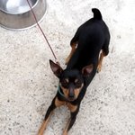 ###급합니다 일분만투자해주세요#####