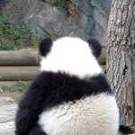 내<b>뒷</b><b>태</b> 어떰?