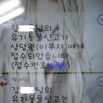 유기동물발견시 신고라도 해주세요ㅜㅜ