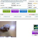 ★햄스터 <b>동심</b>파괴