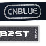 그나저나 씨엔이랑 비스트 응원<b>도구</b> 어떻게됨?
