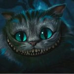 ★★★★[고양이판]★★★★★★기상청 돋는 우리집 괭이들★★★★★★